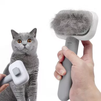Best Self-Cleaning Cat Brush: What to Look For